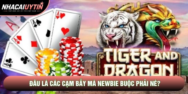 Đâu là các cạm bẫy mà newbie buộc phải né? Đâu là các cạm bẫy mà newbie buộc phải né?