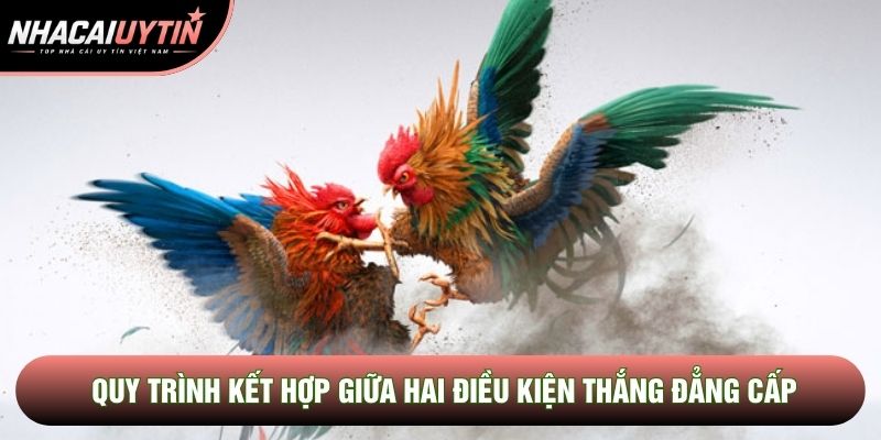 Quy trình kết hợp giữa hai điều kiện thắng đẳng cấp