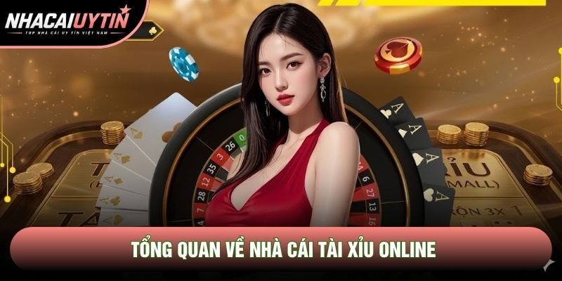 Tổng quan về nhà cái tài xỉu online